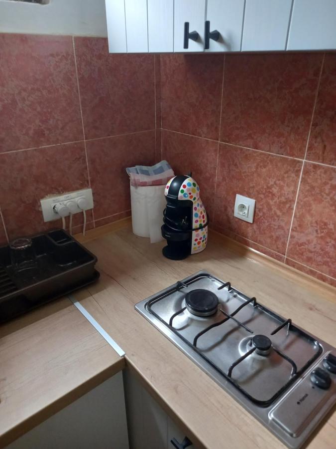 Stan U Maslinama Apartman Podgorica Kültér fotó